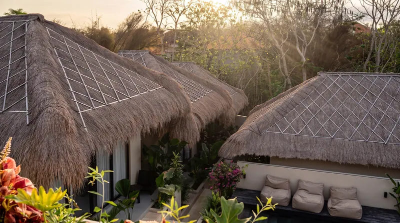 Thatched roofs at golden hour